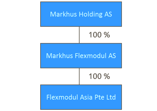 Company Structure image
